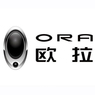 欧拉汽车年终奖金多少