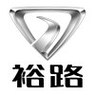 裕路汽车进口车车型